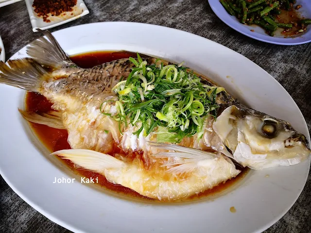 Eating Sultan Fish or Why I Still Haven't Tried Zai Shun's Curry Fish Head Sultan_Fish_Zai_Shun_Singapore
