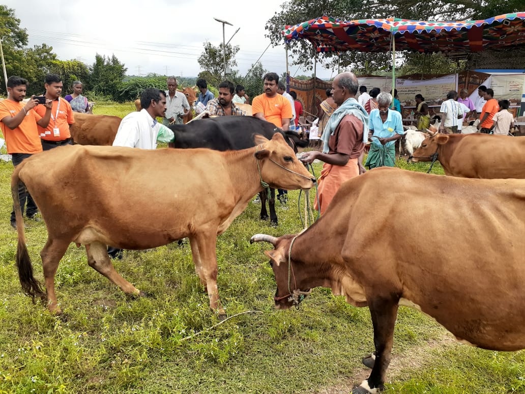 चित्र