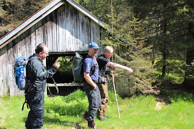 Befaring stier ets.