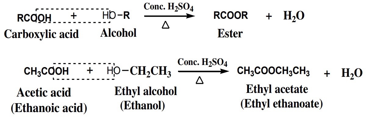 Alcohols react with carboxylic acid to give ester