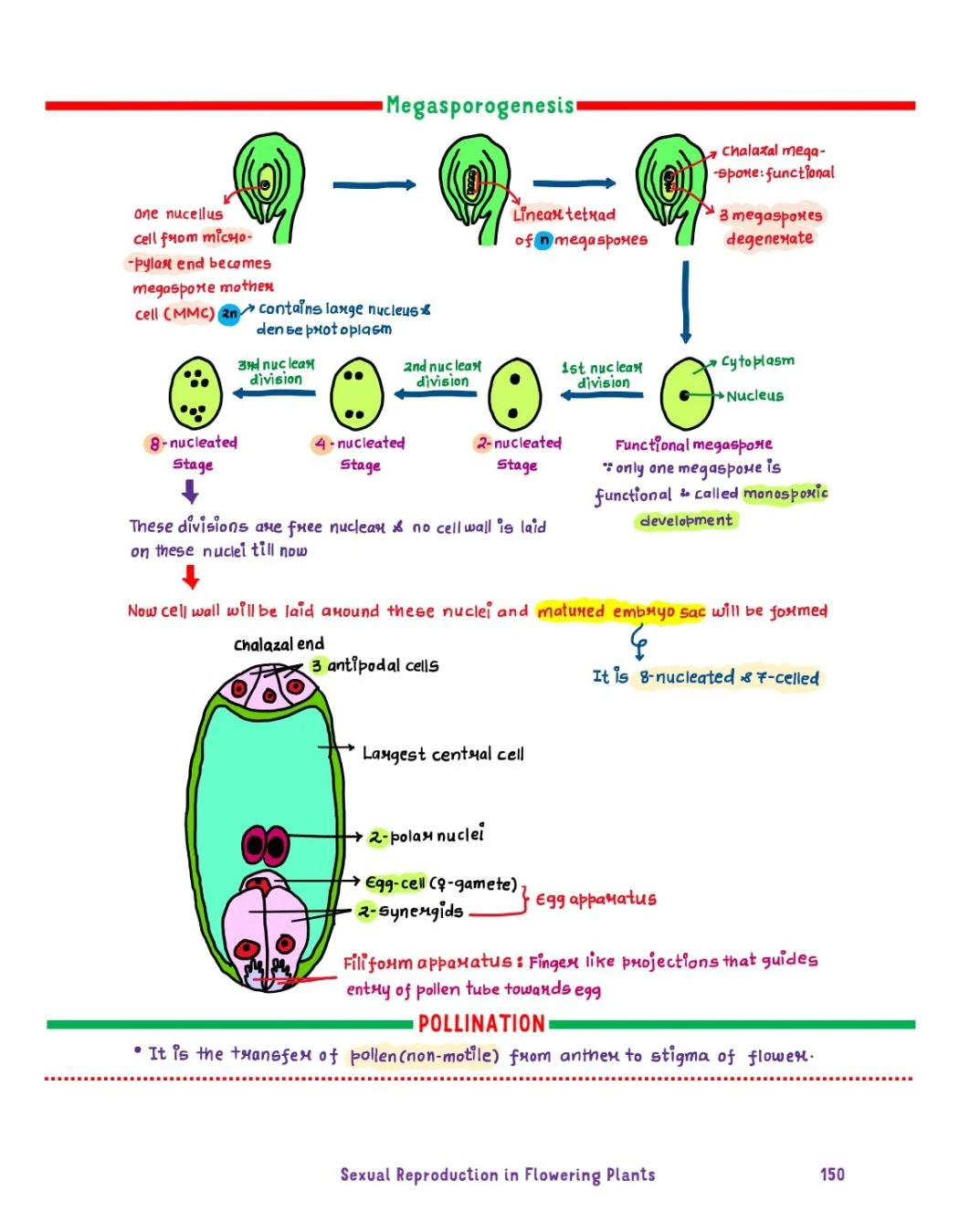 Physics Wallah Med Easy book for Botany