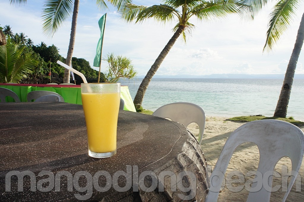 mangodlong-beach-camotes-DSC06520