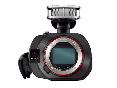 Sony Camcorder NEX-VG900