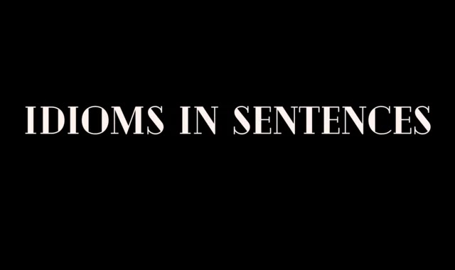Idioms in Sentences