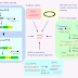 RNA Interference (RNAi) – Principles, Mechanism, Application