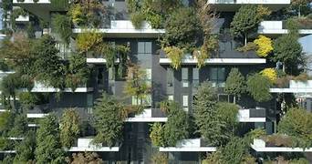 The Rise of Biophilic Design: Integrating Nature into Modern Architecture