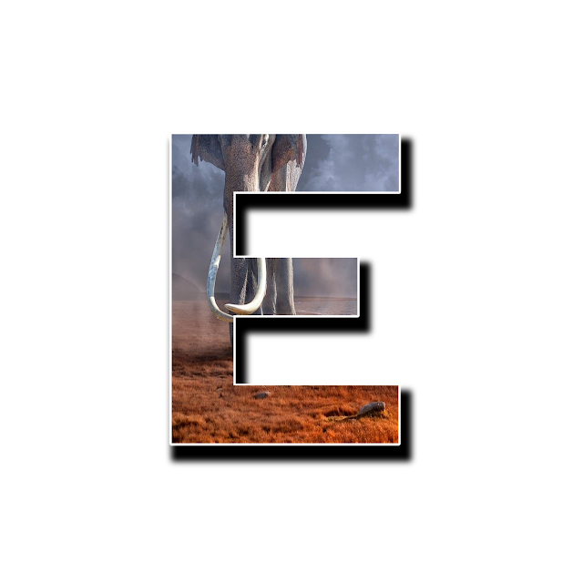 CAPITAL LETTER E, E with image