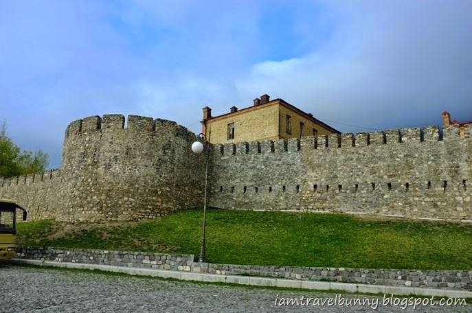 DSCF4395