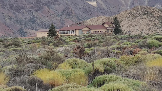 Explorando la maravilla natural del Parque Nacional del Teide
