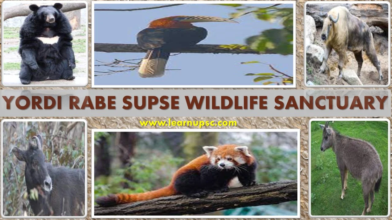 Yordi Rabe Supse Wildlife Sanctuary