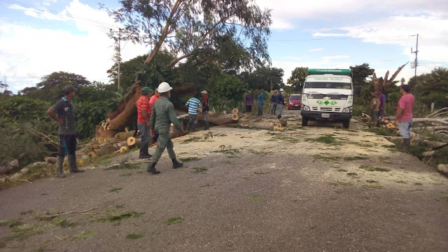 APURE: Cuadrillas Centinela realizan control  de vegetación en 3 kilómetros del circuito Guacas 34.5 kV.