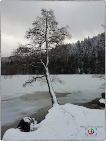 XONRUPT-LONGEMER (88) - Le lac de Longemer gelé !