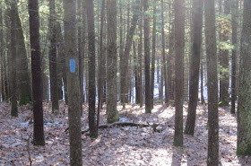 trail in winter woods