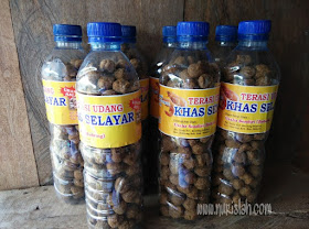 terasi-khas-selayar