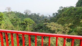 Birdview over the jungle in Equatorial Guinea