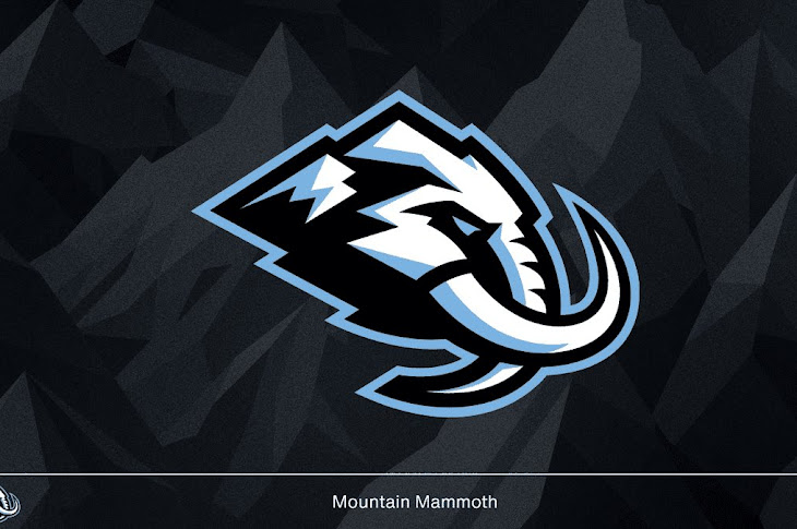 The Utah Hockey Club Gets An Official Nickname
