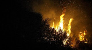 Ηλεία: Δεν υπάρχει ενεργό μέτωπο στη Φρίξα