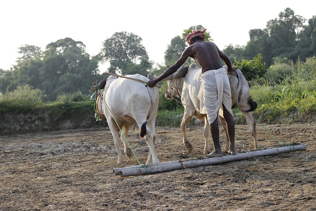 சாப்பிட அமரும்போது, அந்த உணவை உற்பத்தி செய்த விவசாயிகளான எங்களை ஒரு நிமிடம் யோசித்துப் பாருங்கள்