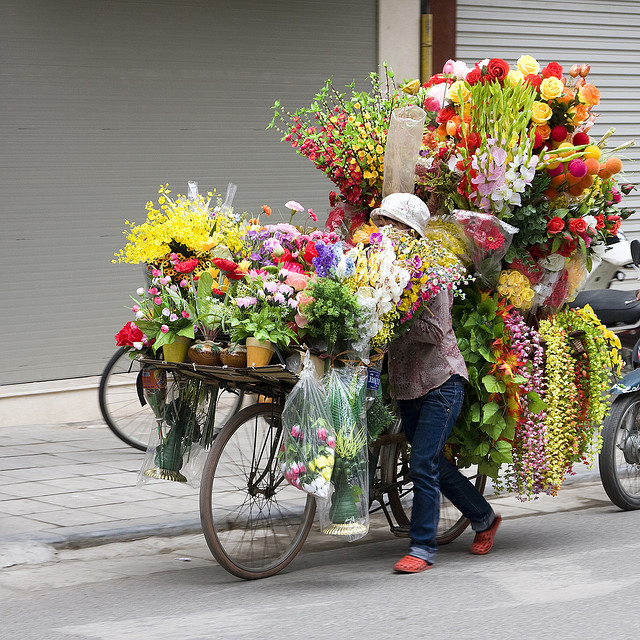 15 fotos de bicicletas com lindas floreiras