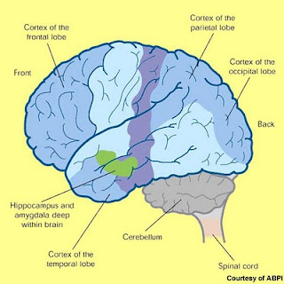 alzheimers diseas