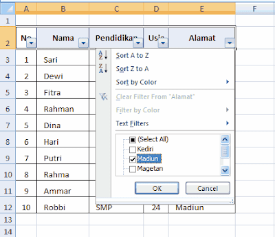 filter data di ms excel