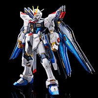 RG Strike Freedom Gundam Titanium Finish ver, Premium Bandai