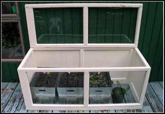 smallgreenhouseopeno