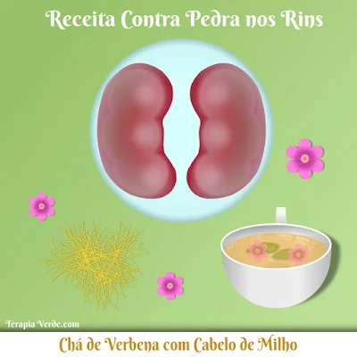 Receita Contra Pedras nos Rins: Chá de Verbena com Cabelo de Milho