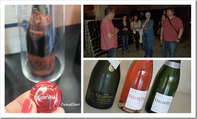 2-1-visita celler vell