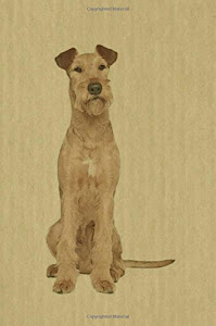 Irish Terrier: Artified Pets Journal/Notebook/Diary, 6" by 9" and 160 Pages