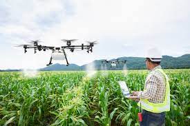 Artificial Intelligence in Agribusiness