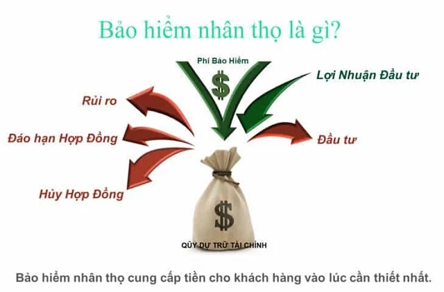 Bảo hiểm nhân thọ là gì?