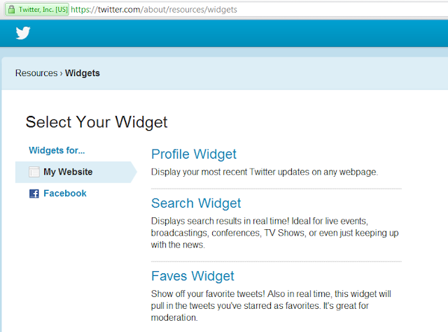 My Website Profile Widget Twitter