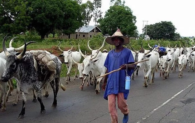 How herdsmen hacked colleague to death in Ogun