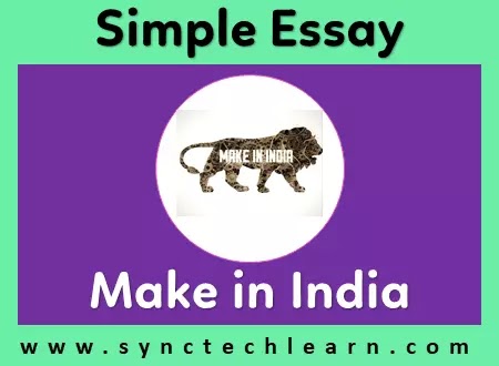 essay on make in india in english