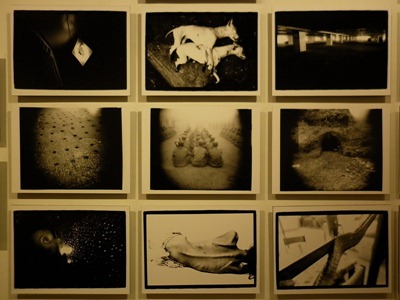 “ที่ว่างตรงกลาง” (Space-In-Between), โอลิวิเยร์ พิน-ฟัต