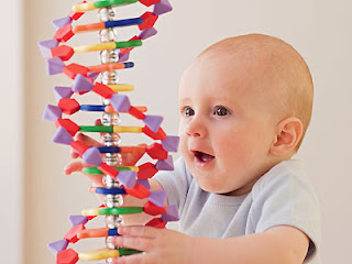 Resultado de imagem para crianças genetica