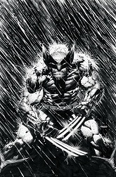 Wolverine #2 by David Finch