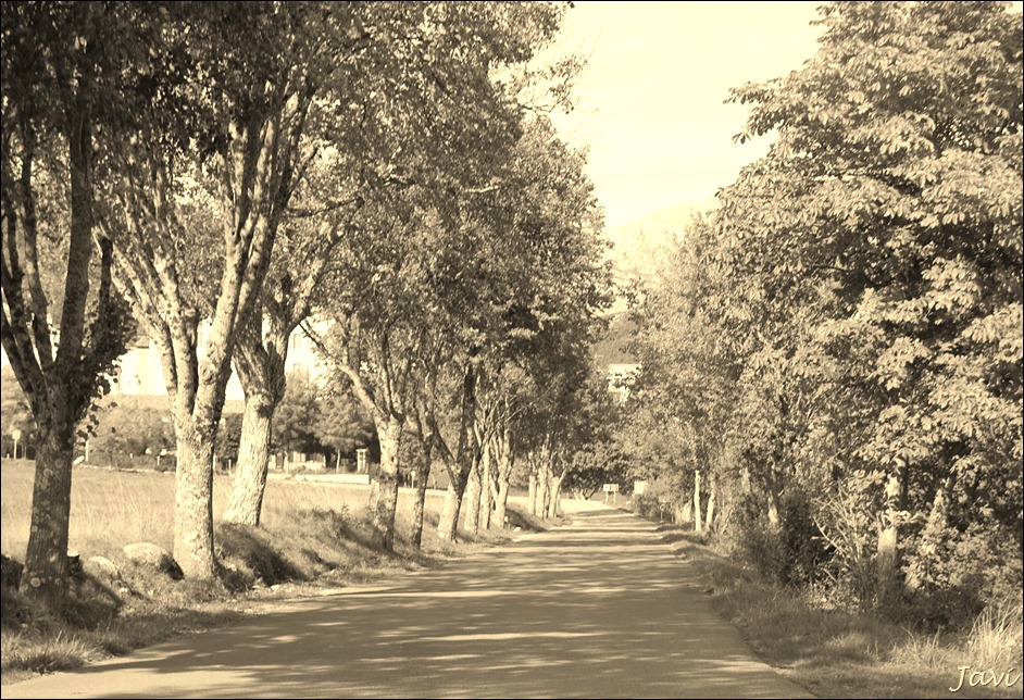 DSC_0263