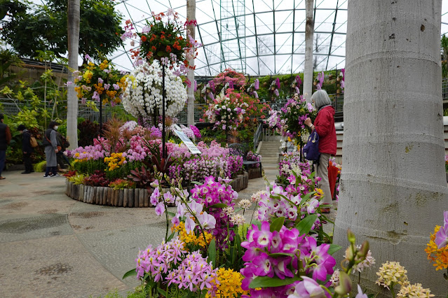 鳥取県西伯郡南部町鶴田 とっとり花回廊 フラワードーム らんの打ち上げ花火