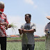 Produktivitas Bawang Merah Turun, Ganjar Dorong Pemulihan Lahan Pertanian