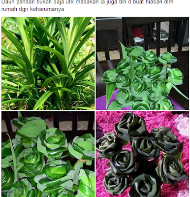 Daun Pandan Buat Bunga Ros Hiasan