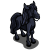 Black beauty foal happy