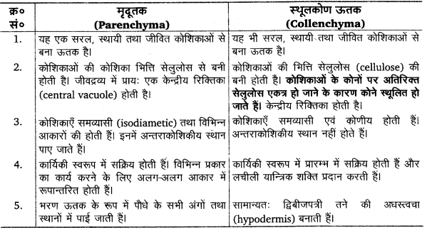 Solutions Class 11 जीव विज्ञान Chapter-6 (पुष्पी पादपों का शारीर)