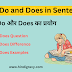 Use of Do and Does in Sentence in Hindi - Do और Does का प्रयोग 