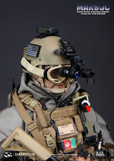 Damtoy 1/6 Scale Elite Series MARSOC Marine Special Ops Team Operator figure