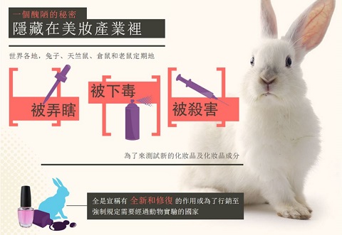 Tests sur les animaux pour l'industrie cosmétiques