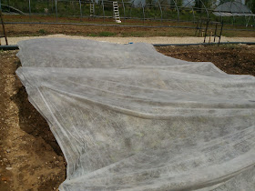 Lechugas manta termica La Regadera Verde