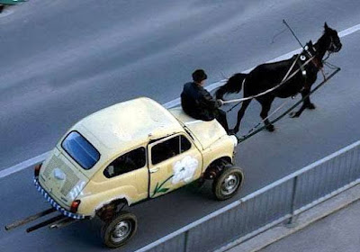 Immagini divertenti, cavallo taxi