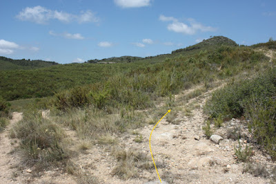 SANT JAUME DELS DOMENYS-PUIG DE LA TIULA, camí de pujada al Puig de la Tiula